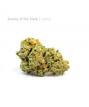 Enemy of the State | Indica